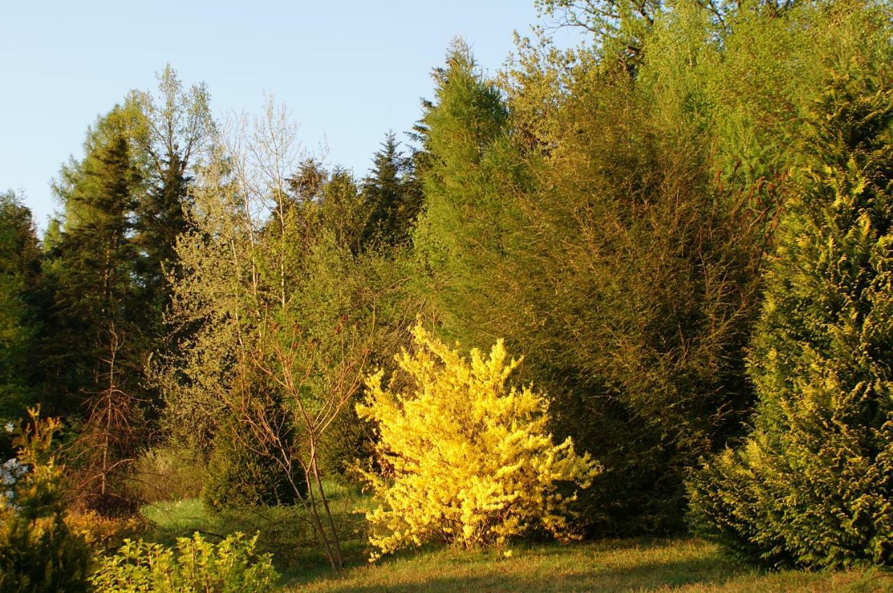 Willa Kasztelanska Porąbka Exterior foto